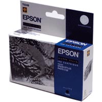 Original Druckkopf schwarz matt Epson T0348 Original Druckkopf schwarz matt Epson T0348